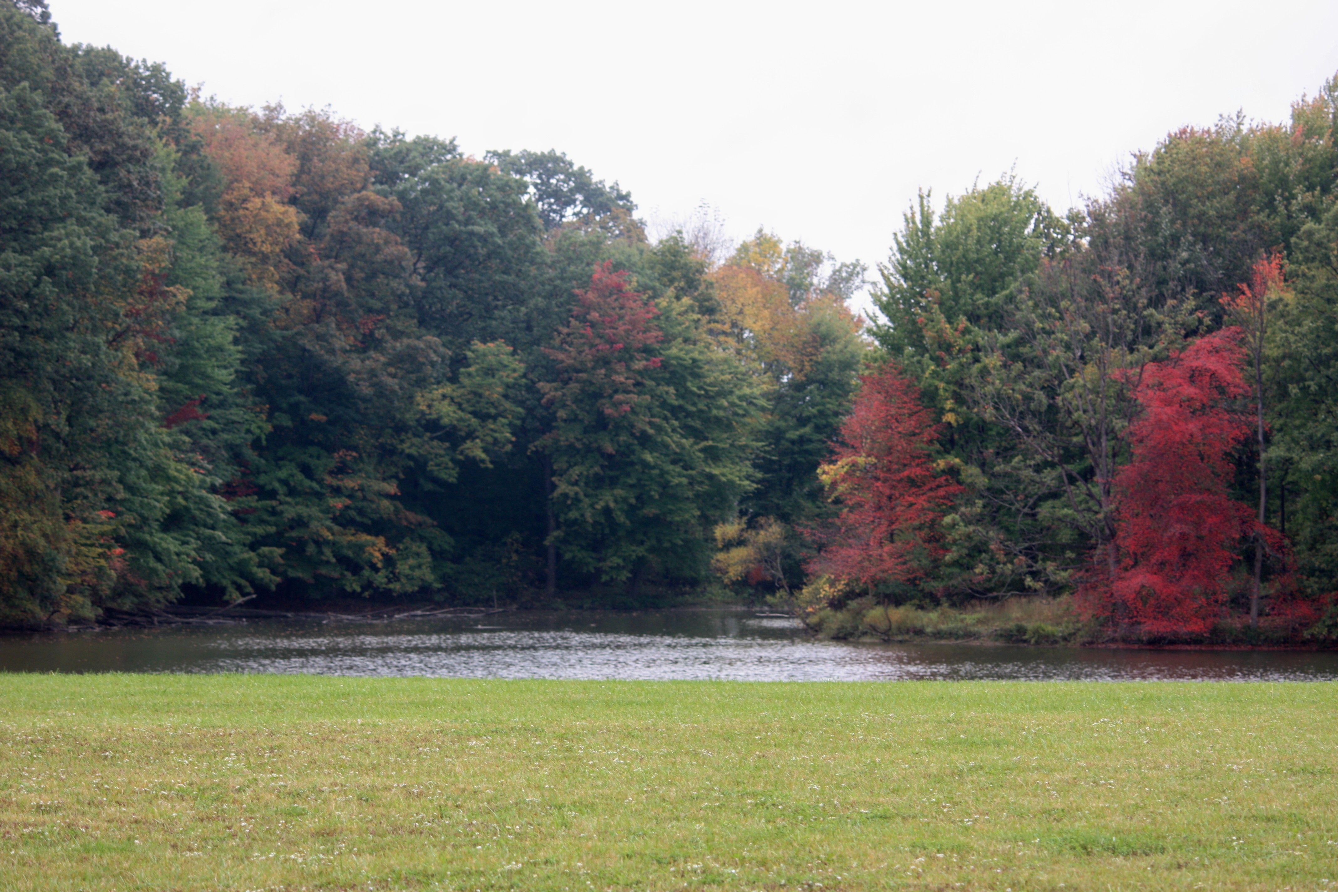Brunswick Lake, Brunswick OH