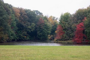 Brunswick Lake, Brunswick OH