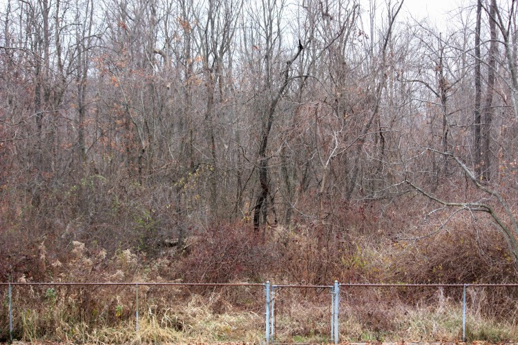 10:29 A.M. 11/26/2013