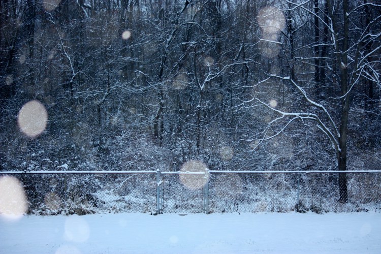 Woods @ 8:14 a.m. on 11/27/2013