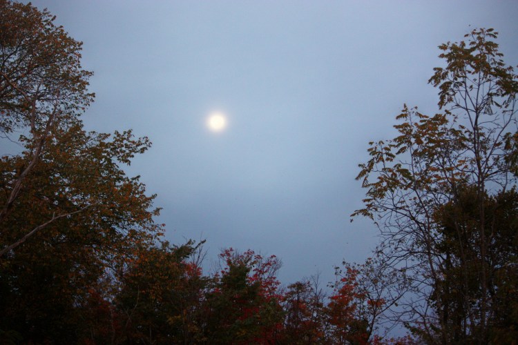 Blood Moon 2014 - 24 Hours Later