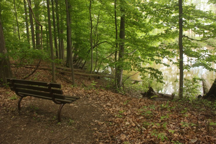 Susan Hambly Nature Center, Brunswick Ohio, overlooking Brunswick Lake