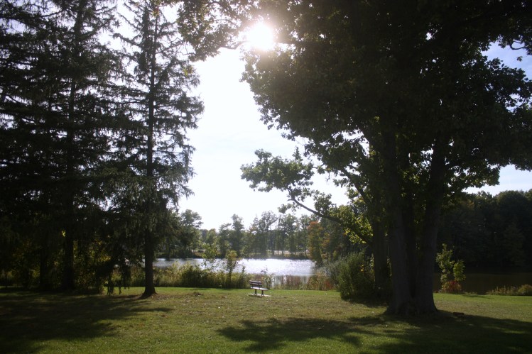 Brunswick_Lake_Bench