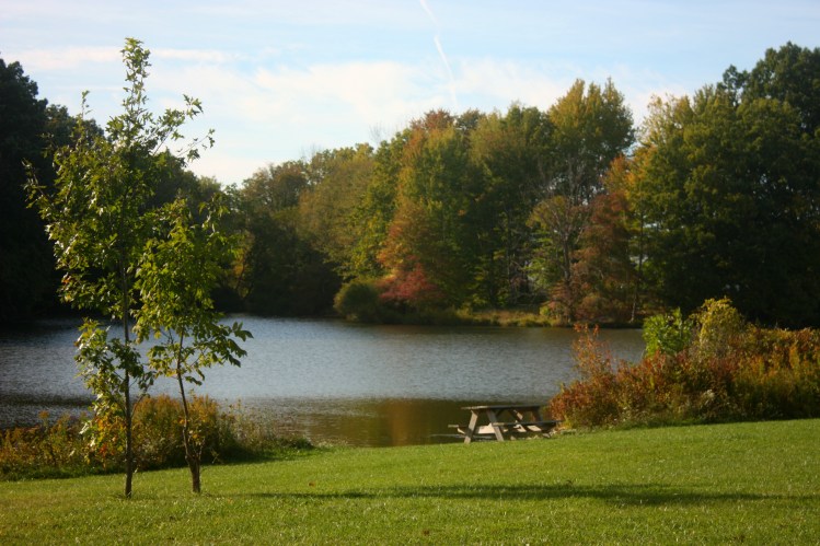 Brunswick_Lake_Picnic_Table