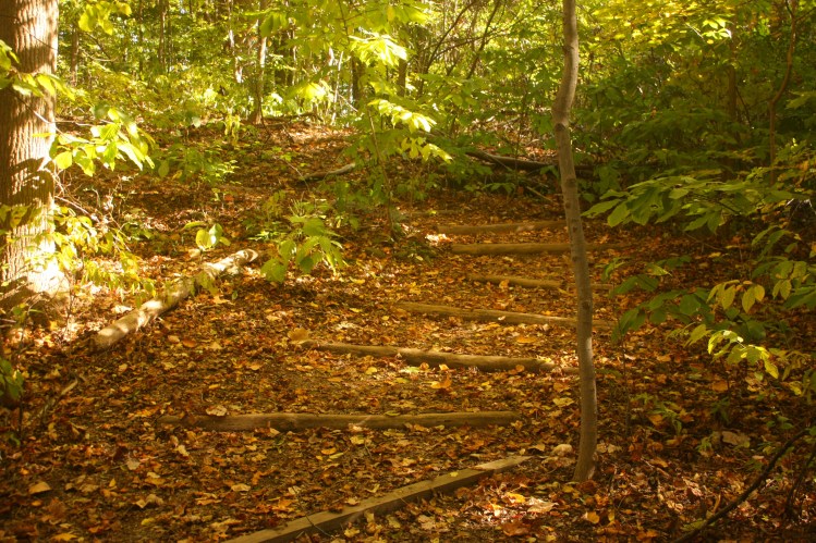 leaf steps