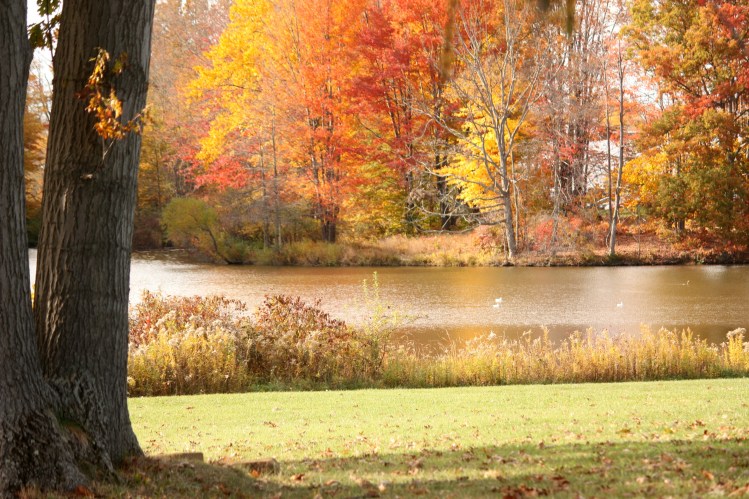 Yellow_Orange_Brunswick_Lake
