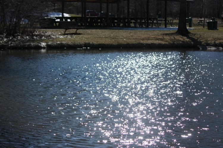 ripples_sunlight