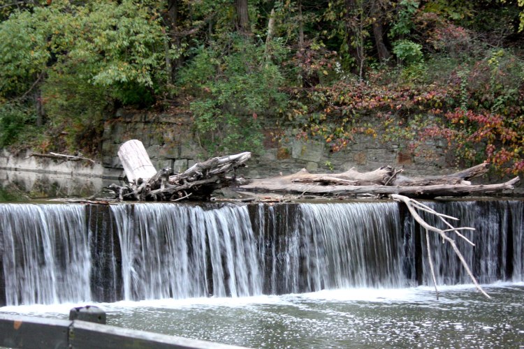 Bonnie_park_waterfall_trunk_cropped