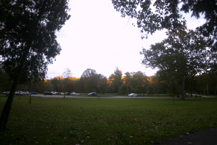 bonnie_woods_parking_lot